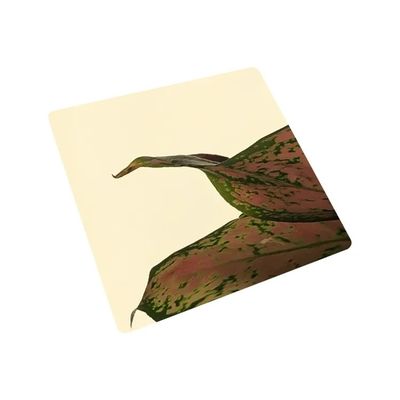 0.3mm-6.0mm Hot rolled Thickness Steel Sheet  by Professional Manufacturer